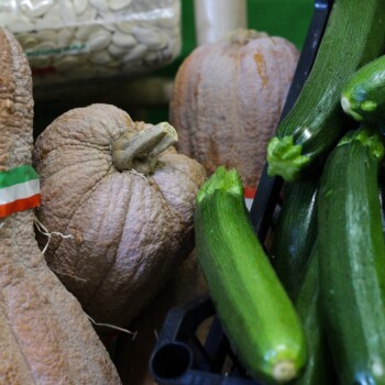ortaggi zucchine