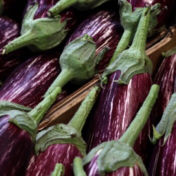 melanzane