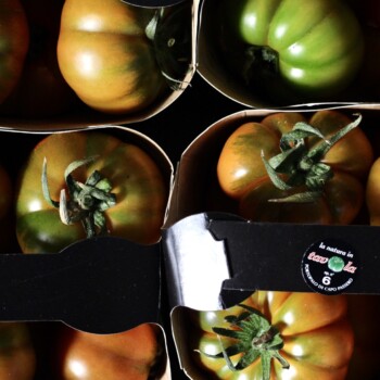 pomodori freschi